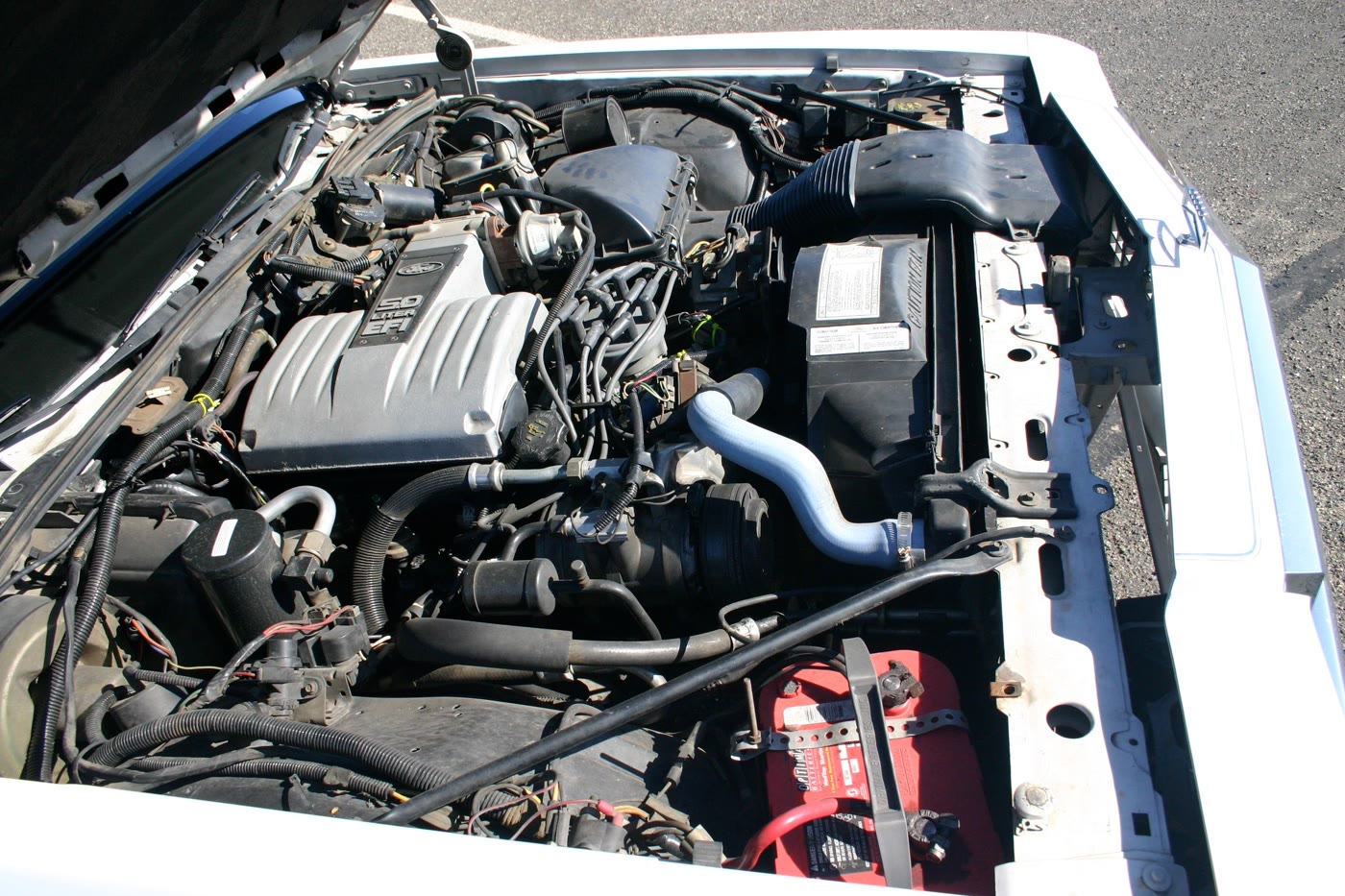 Ford 5.0 Windsor V8 — 302 EFI in a 1987 Country Squire
